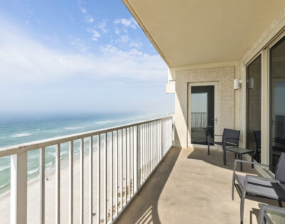 Shores 1431